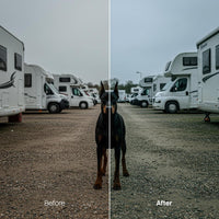 Before and after Cinema LUT Pack effect