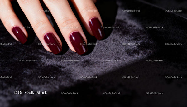 Close up of manicured hand with glossy burgundy nails