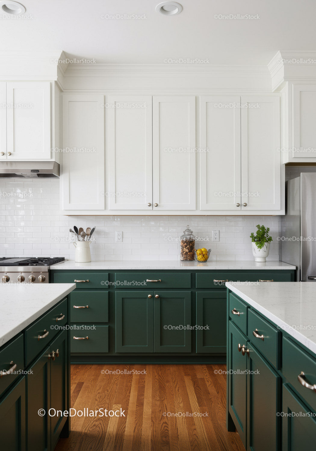 Modern Kitchen with Green Cabinets and Wooden Flooring