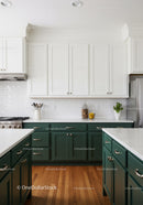 Modern Kitchen with Green Cabinets and Wooden Flooring