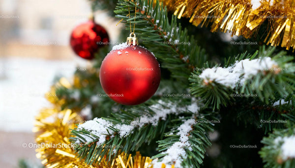 Red Christmas ornament with snow on green tree branches