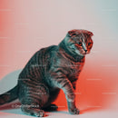 Playful Grey Tabby Cat in a Dynamic Pose with Striped Fur