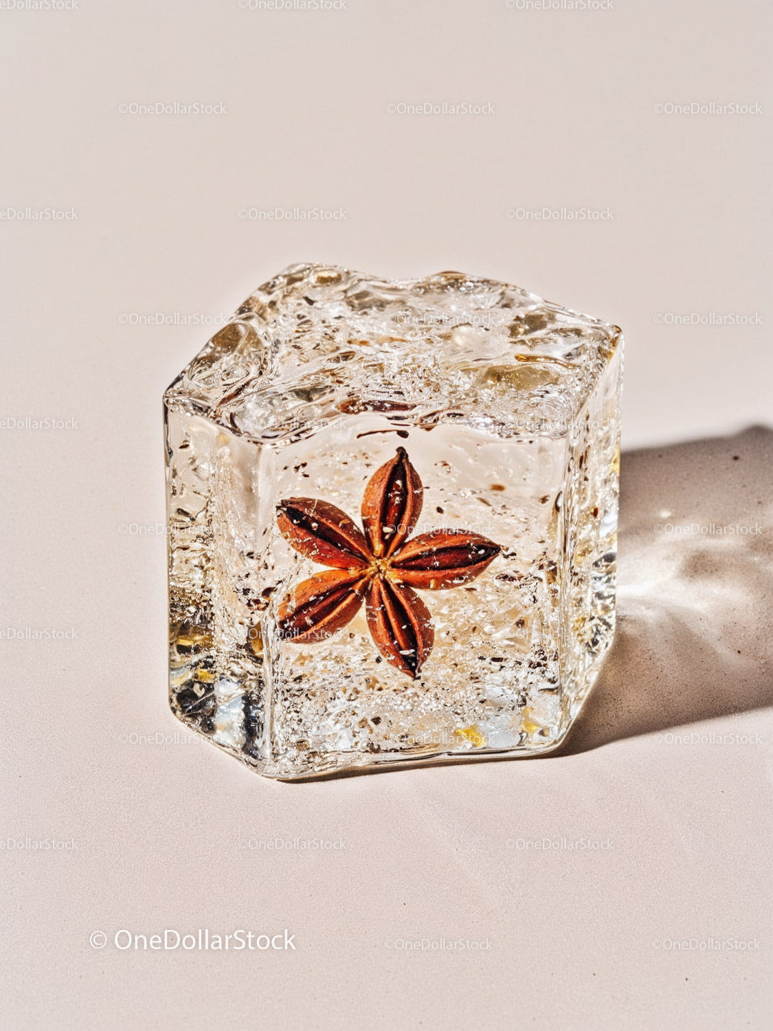 Close Up of Star Anise Embedded in Clear Ice Cube