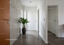 Modern Minimalist Indoor Hallway with Green Plant and Concrete Wall
