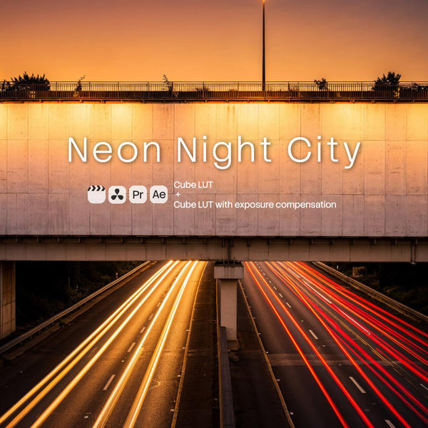 Neon Night City (2 LUTs)