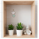 Green Houseplants and Plush Bunny on Wooden Shelf in Modern Interior