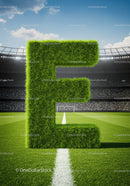 Large Grass Letter E on Soccer Field Center Line