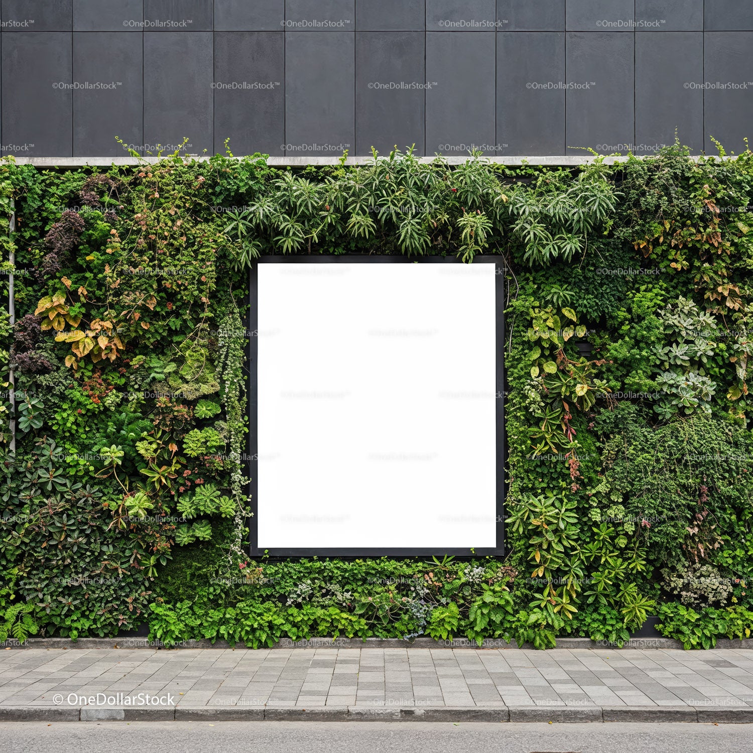Vertical garden wall with blank advertising space outdoors