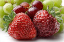 Close-up of Juicy Ripe Strawberries with Dew