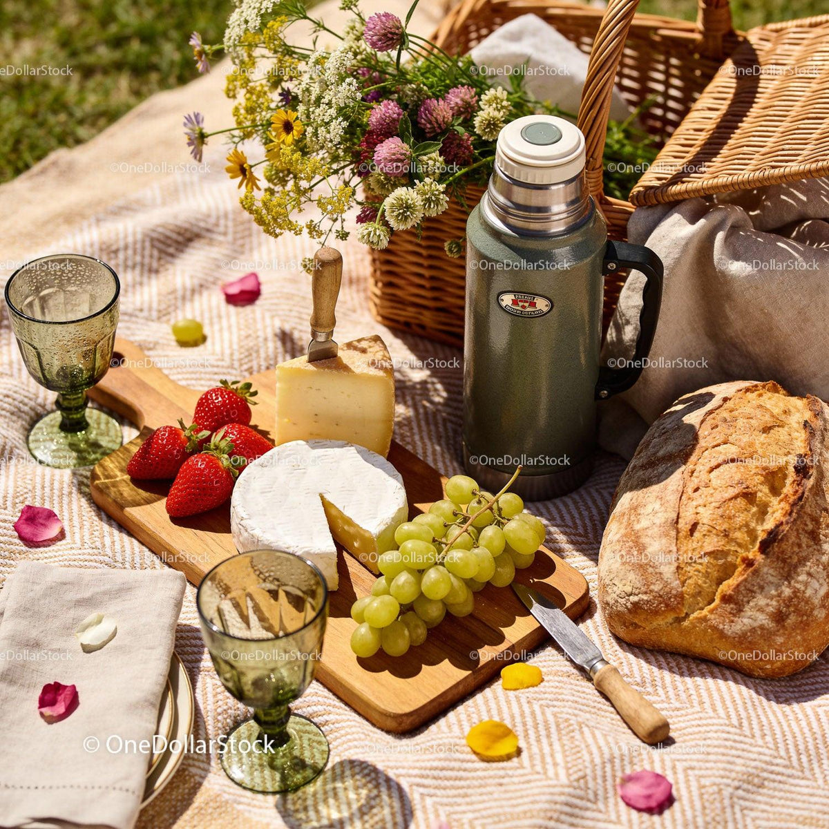 Cozy Outdoor Picnic with Cheese, Bread and Fresh Fruits