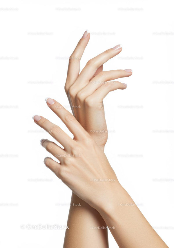 Elegant female hands with French manicure on white background