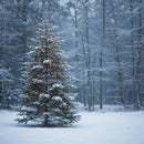Snow-Covered Pine Tree with Warm Holiday Lights