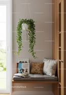 Indoor Hanging Plant with Cushions and Wooden Shelves in Cozy Corner