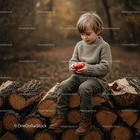 Child Holding Red Apple Sitting on Firewood Outdoors
