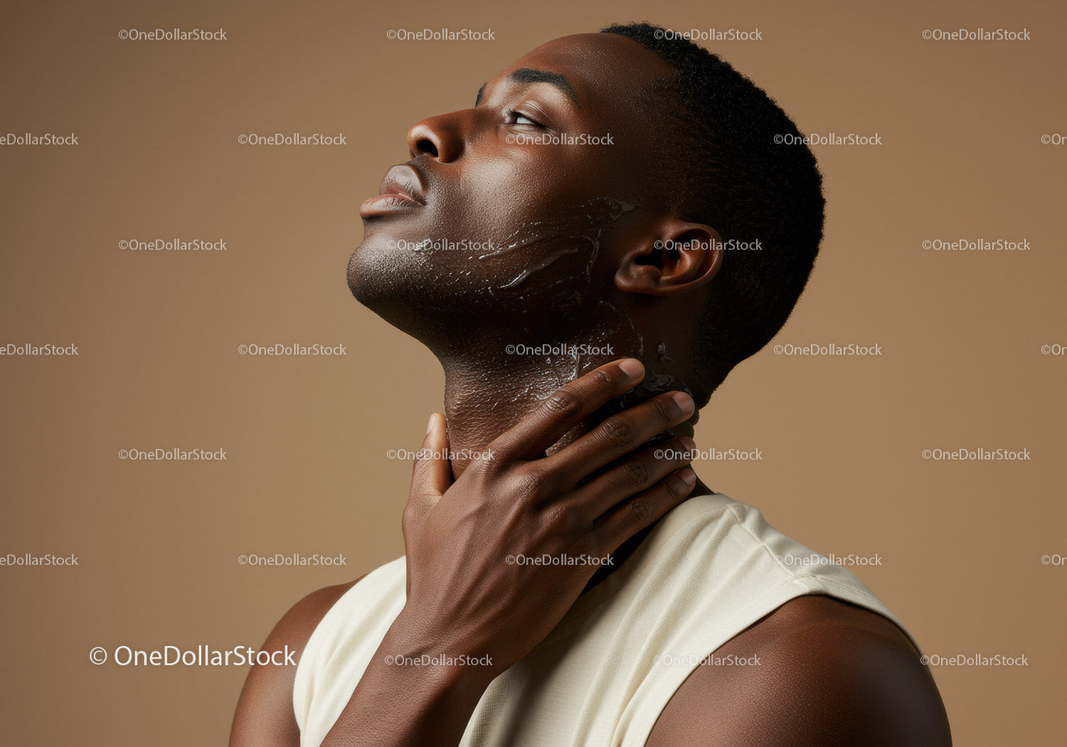 Elegant African American Woman with Short Natural Hair and Glowing Skin