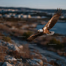 Majestic Eagle Soaring Over Rocky Coastal Landscape