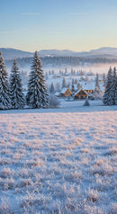 Peaceful Winter Village Nestled in Snowy Mountain Valley