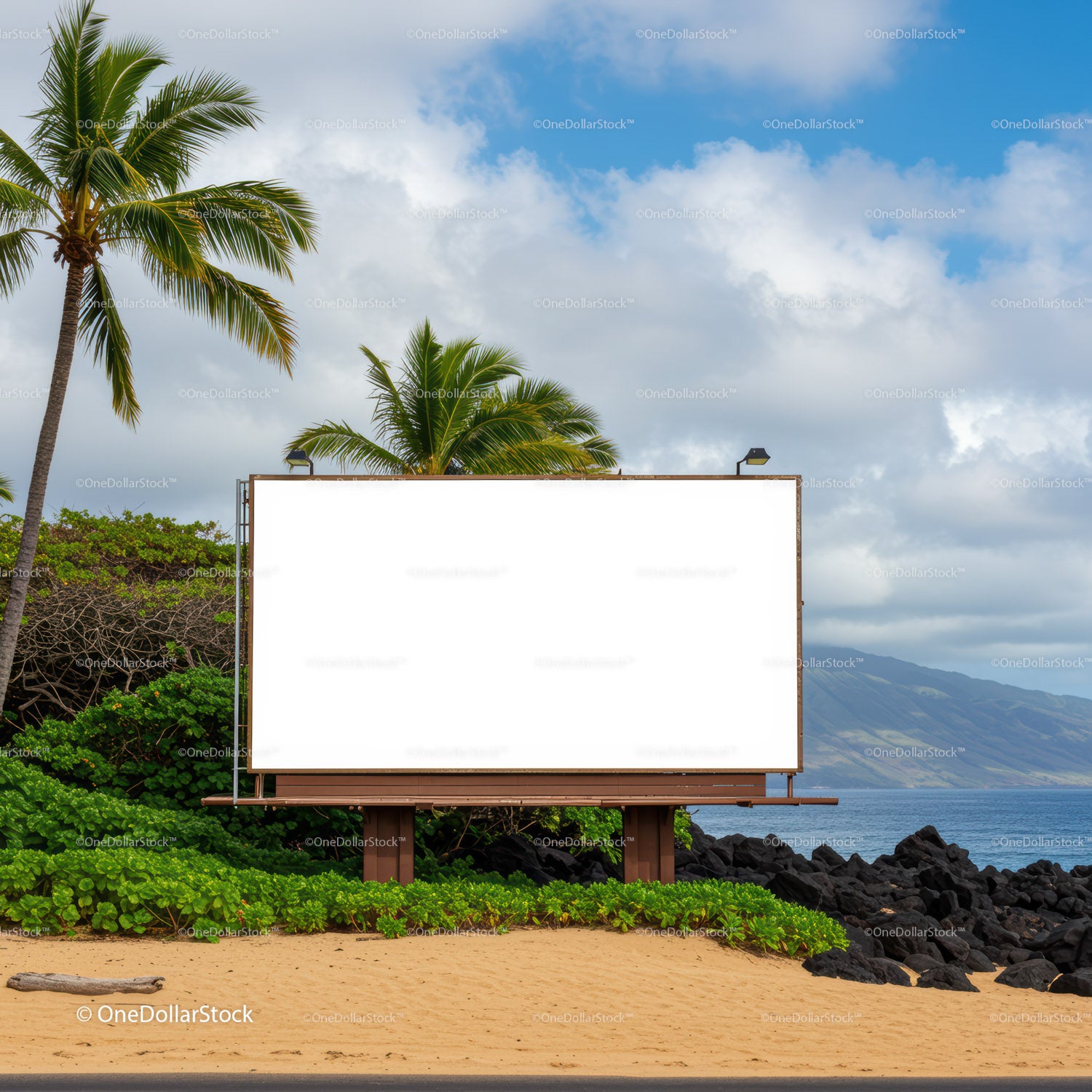 Pusta tablica reklamowa przy plaży Tropical Beach z palmami i oceanem