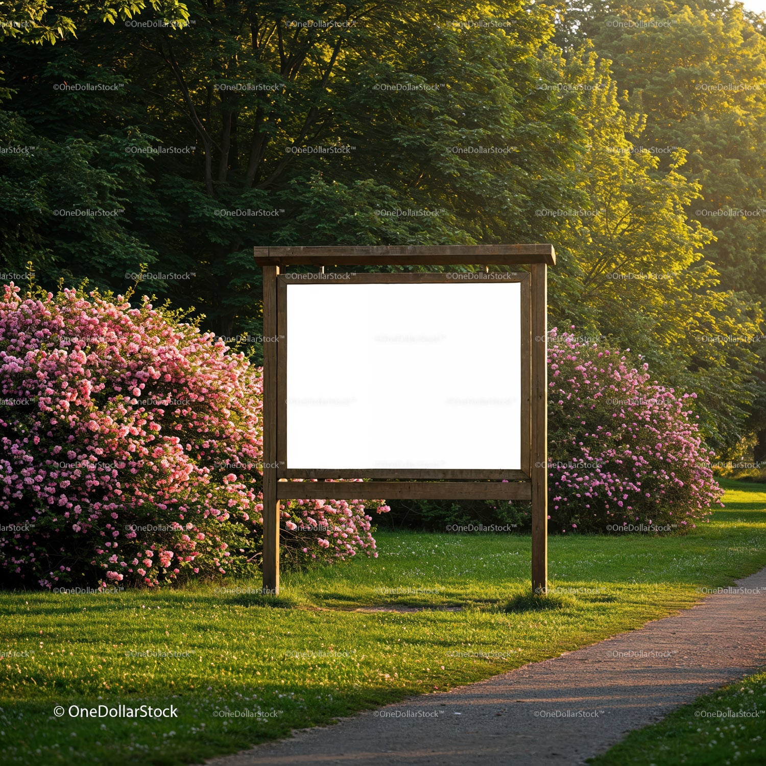 Empty wooden signboard in sunny garden with blooming bushes