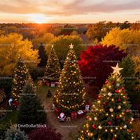 Festive Christmas Trees with Glowing Ornaments at Sunset