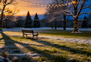 Empty park bench at winter sunset with holiday lights