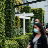 Urban walkway with lush green plants and blank signposts