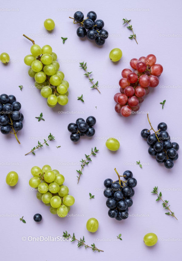 Fresh green red and black grapes with thyme herbs on pastel