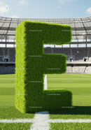 Green grass letter E on stadium soccer field
