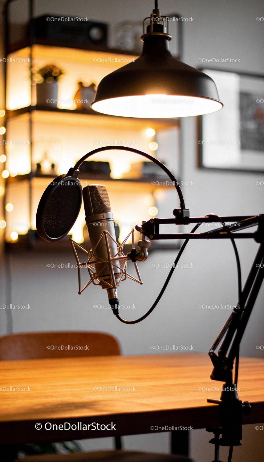 Professional Podcast Microphone Setup in Cozy Studio