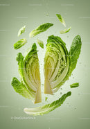 Fresh Romaine Lettuce Halves Floating with Water Droplets
