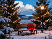 Snowy bench with red blanket under glowing lantern lights