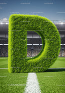 Green Grass Letter D on Soccer Field Under Blue Sky