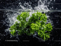 Fresh Green Parsley with Water Splash in a Dynamic Scene