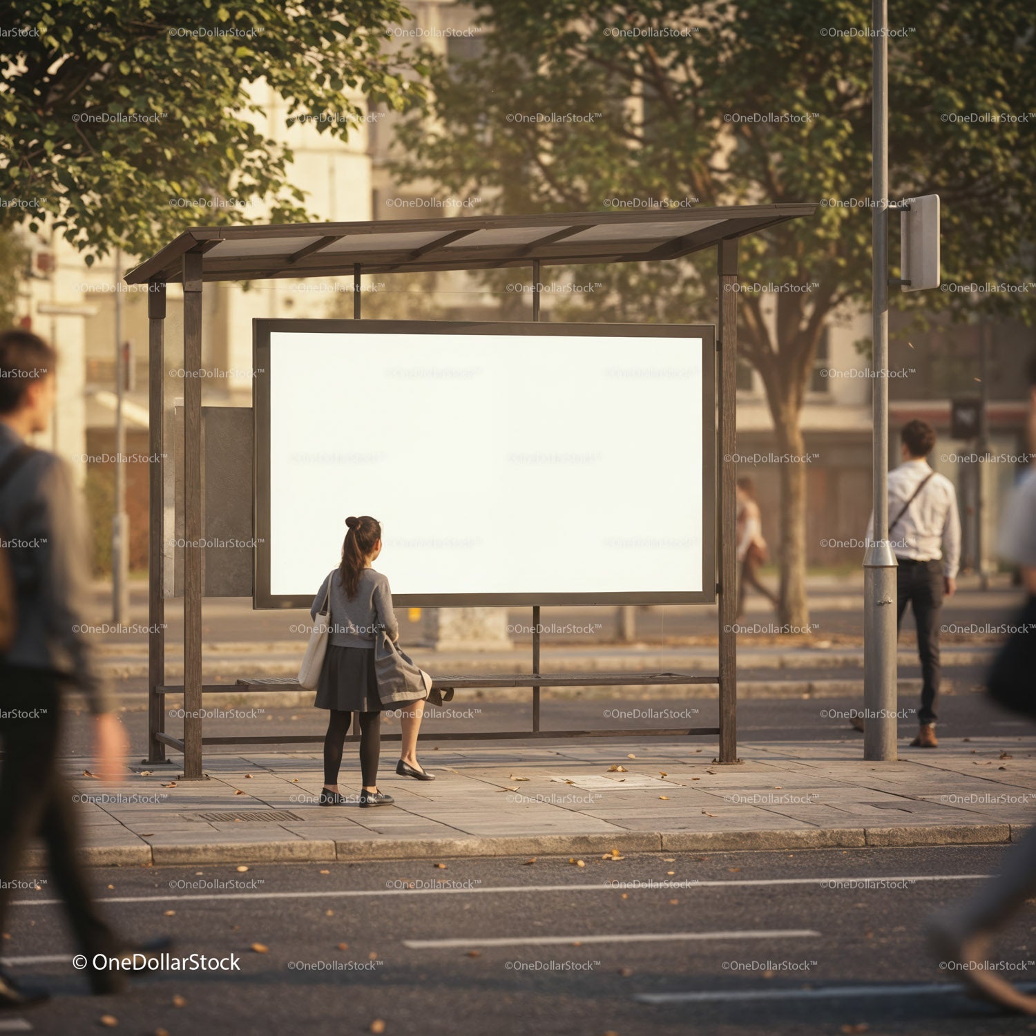 Woman waiting at urban bus stop with blank billboard