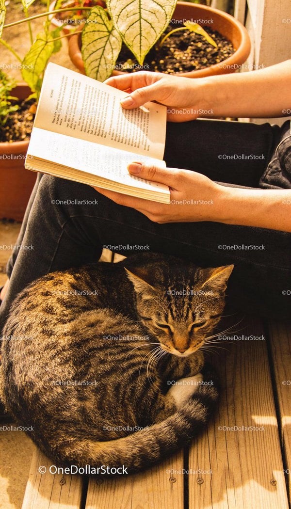 Person Reading Book with Cat Relaxing on Wooden Deck