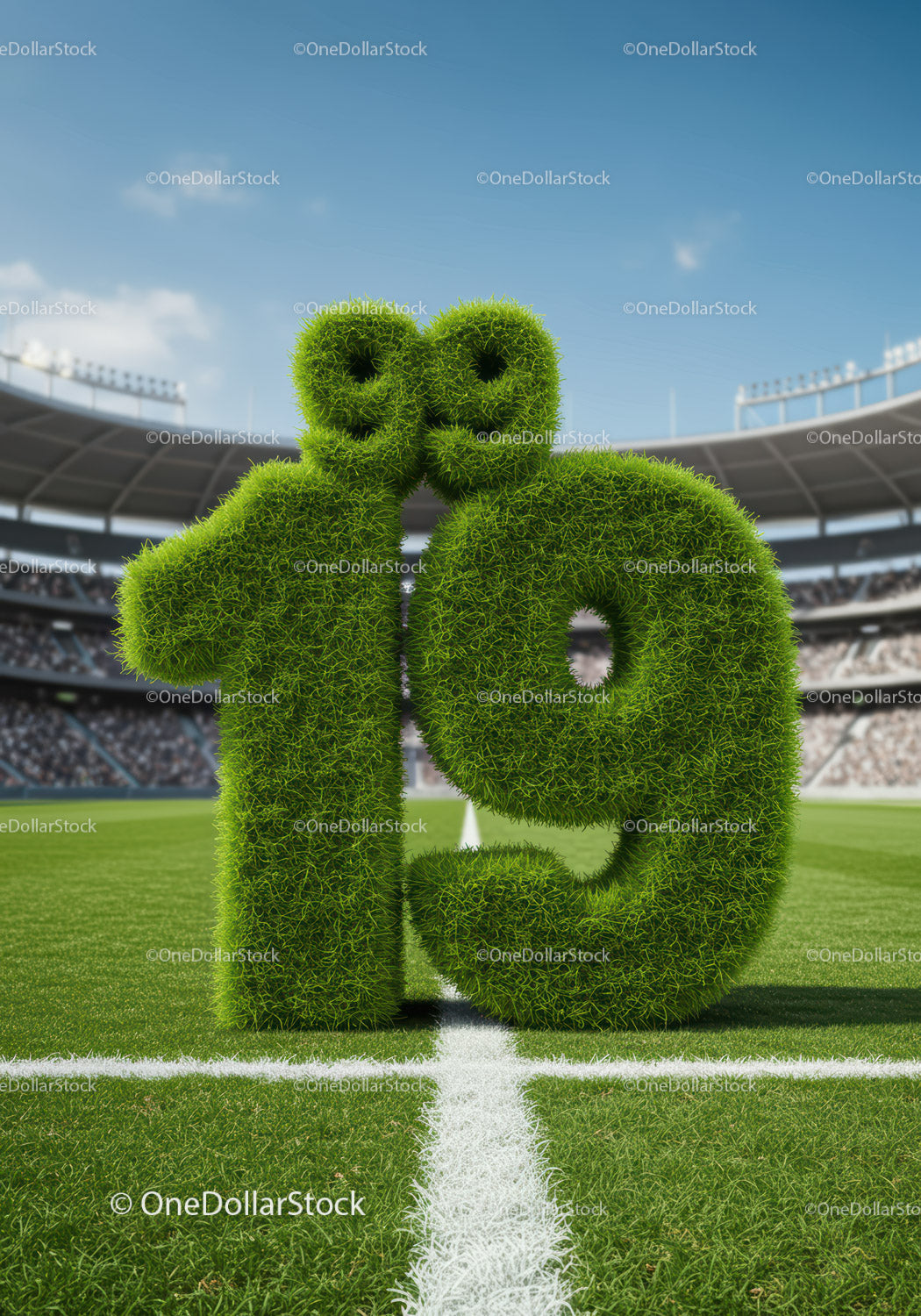 Green Grass Number 19 on Football Field