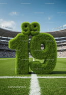 Green Grass Number 19 on Football Field