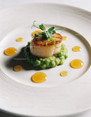 Seared scallop on pea puree with honey droplets