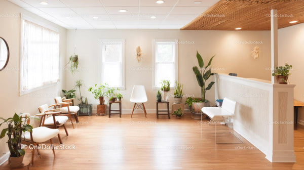Bright Modern Room with Green Plants and Wooden Floors for Relaxation