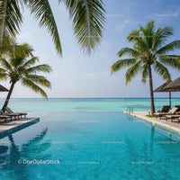 Tropical Beach and Infinity Pool with Palm Trees Over Ocean Horizon