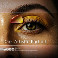 Dark Artistic Portrait LUT Pack preview
