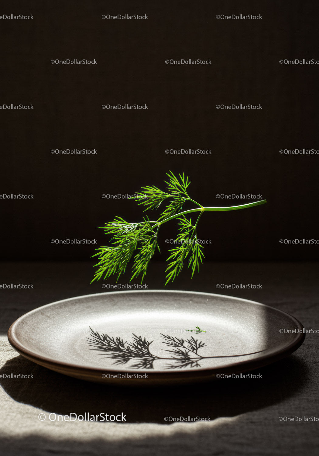 Świeży koperek rzucający cień na pusty ceramiczny talerz