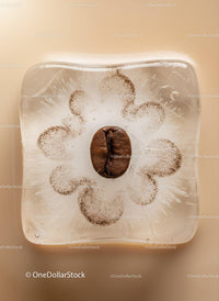 Single coffee bean frozen in a clear ice cube