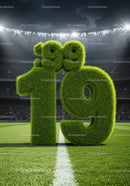Grass-covered number 19 on illuminated soccer field