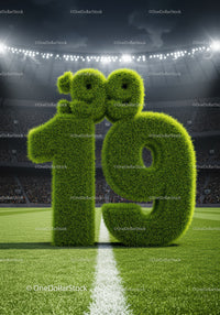 Grass-covered number 19 on illuminated soccer field
