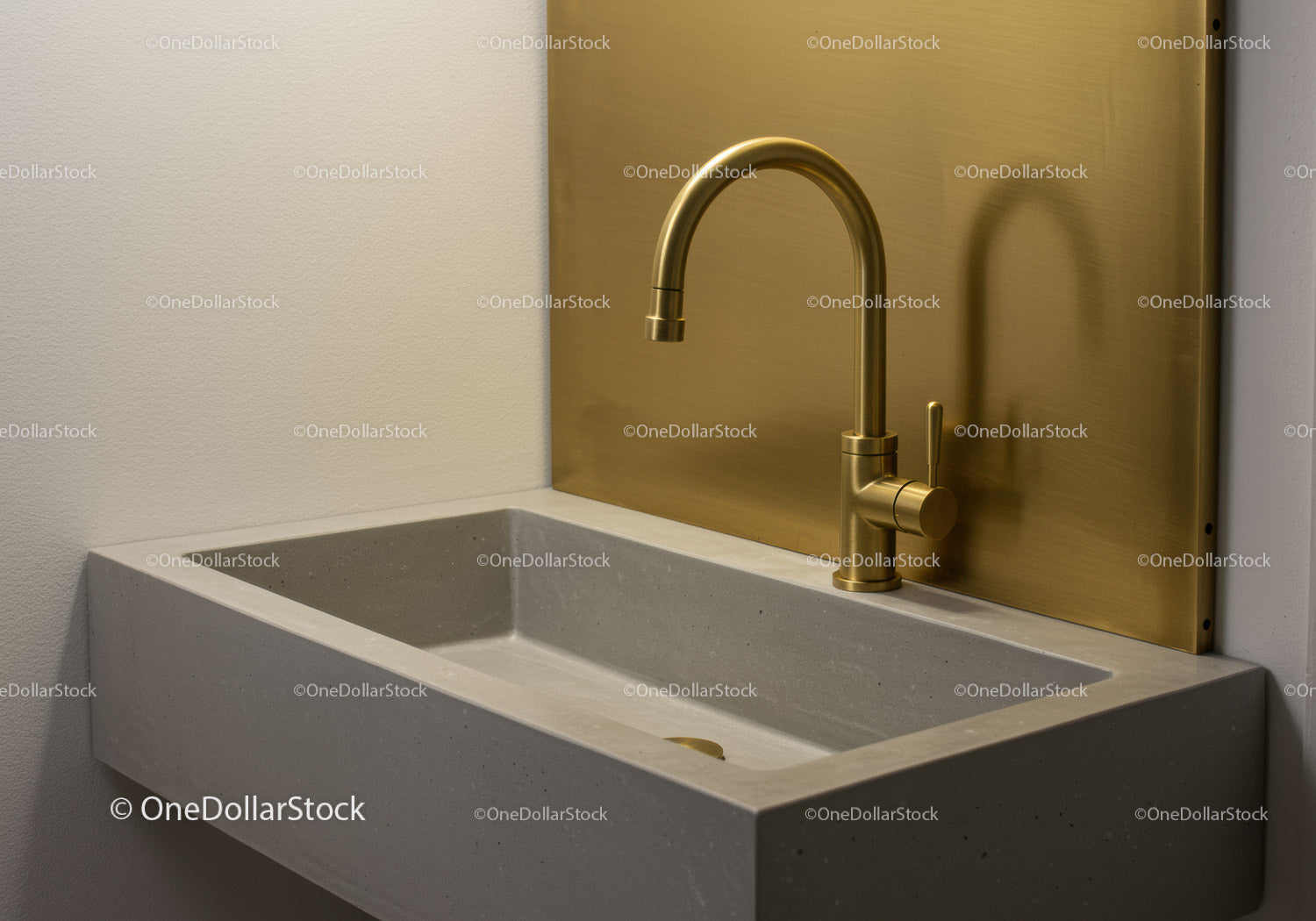 Modern Kitchen Sink with Gold Faucet and Concrete Countertop