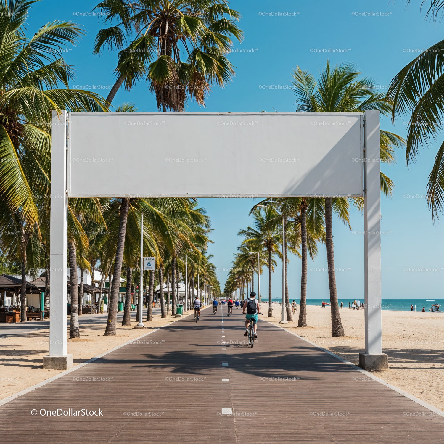 Rowerzyści jadący wzdłuż promenady wzdłuż plaży otoczonej palmami