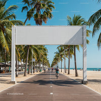 Cyclists Riding Along Palm-Lined Beach Boardwalk