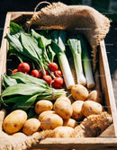 Fresh Organic Vegetables Arranged in Wooden Crate