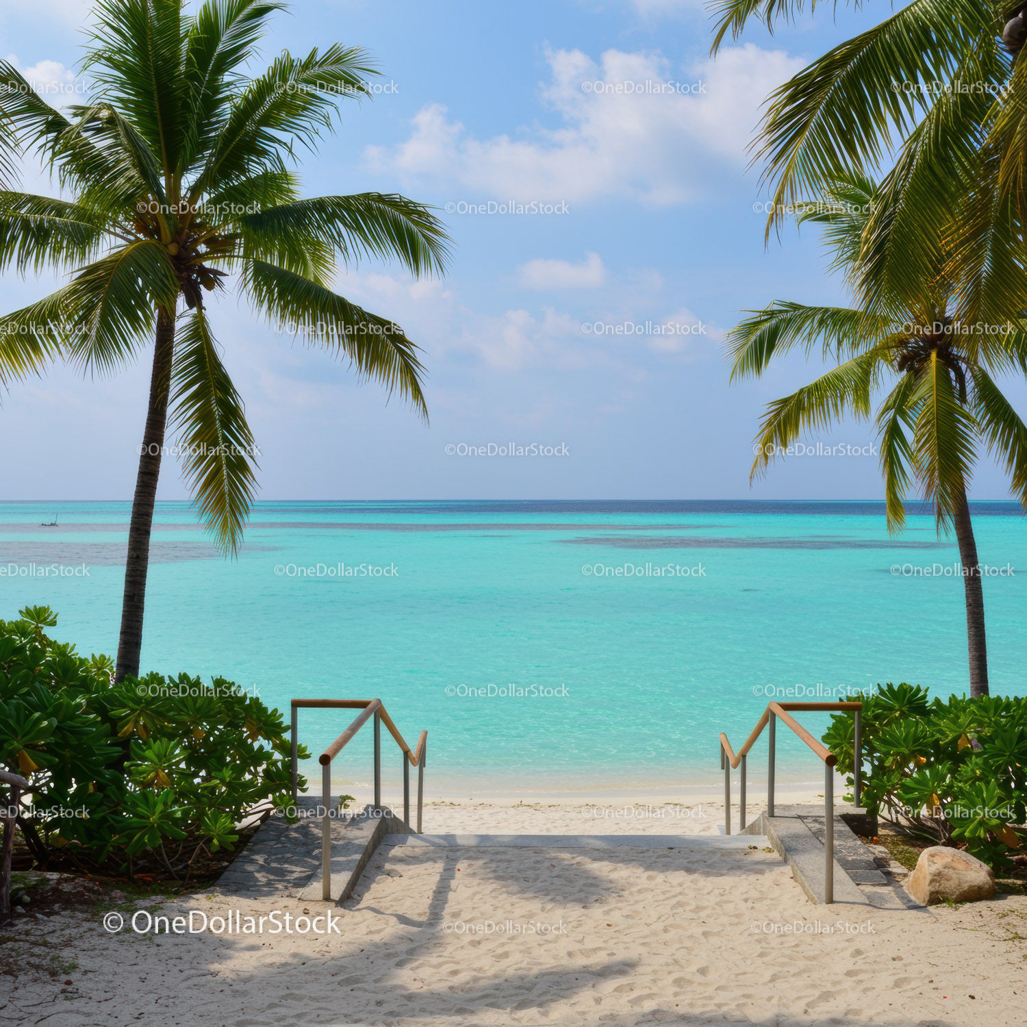 Tropical Beach with Palm Trees and Clear Blue Ocean Scenery
